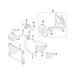 صورة Hose-Radiator Lower
