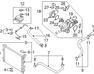 Hose-Radiator Lower - 254122S101
