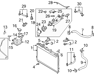 Hose-Radiator Lower - 254123J100