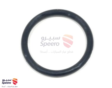 2546235504 - 2546235504