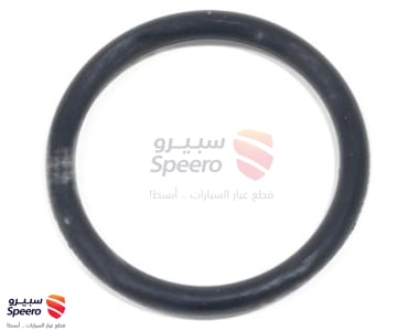 2546235504 - 2546235504