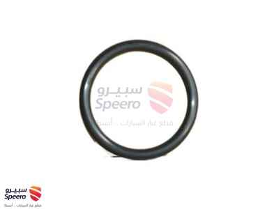 2546235504 - 2546235504