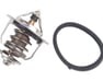 THERMOSTAT ASSY - 2550025001