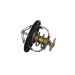 صورة Thermostat Assembly