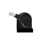 صورة بوري واطي