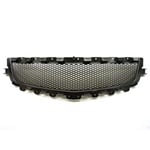 صورة شبك امامي