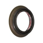 صورة صوفة دفرنس خلفي