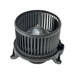 صورة Fan & Motor BLR