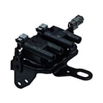 صورة كويل بواجي