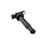 صورة كويل بواجي