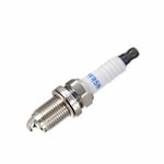 صورة طقم بواجي