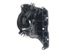 Manifold Assembly-Intake - 283102B760
