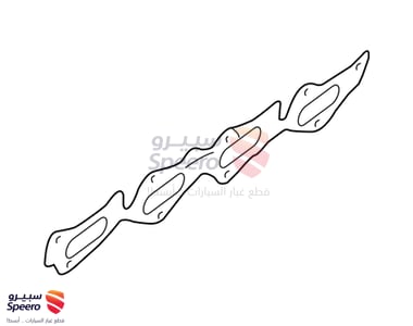 وجه قزوز - 285213F400