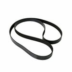 صورة سير دينمو