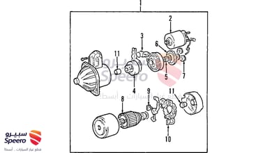 Starter Assembly