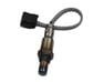 Sensor Oxygen, Front - 365325G0A01