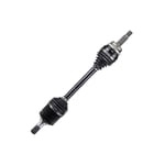 صورة عكس خلفي يمين