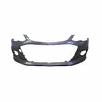 صورة صدام امامي