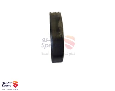 Axle Seal - 43252VW000