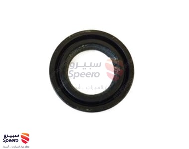 Axle Seal - 43252VW000