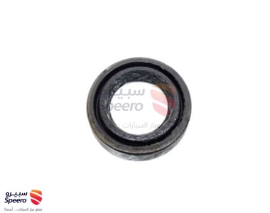 Axle Seal - 43252VW000