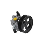 صورة steering pump