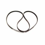 صورة سير دينمو