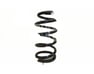 Coil Spring - 482310C020