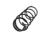 Coil Spring - 482316A770