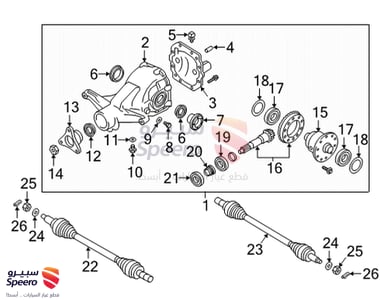 ورده - 4954921000