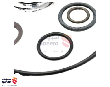 495916C925 - 495916C925