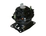 Rubber Assy., FR. Engine Mounting (ACM) - 50830TK8A01