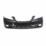 صورة صدام امامي