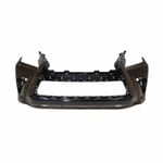 Front Bumper 521196B942