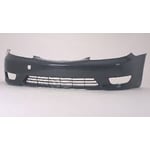 صورة صدام امامي