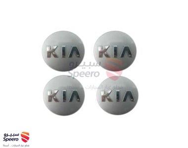 CAP ASSY-WHEEL HUB - 529601Y200