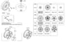 CAP ASSY-WHEEL HUB - 529601Y200