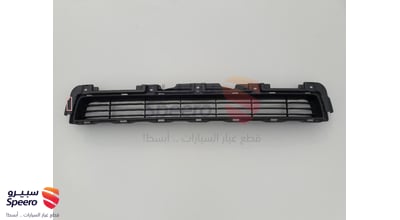 شبك صدام