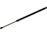 SUPPORT ASSY, HOOD, LH - 5345069015