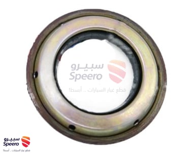 SEAL-OIL Kia  