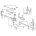 صورة دودة دركسون تحت