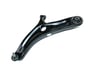 ARM COMPL-FR LWR RH - 545012K600