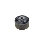 BUSH-FR LWR ARM[G] 545842W000