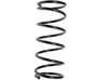 Rear Spring - 550202W100