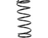 Rear Spring - 550202W100