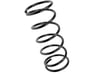 Rear Spring - 550202W100