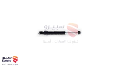 مساعد خلفي