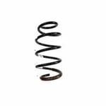 صورة ياي خلفي