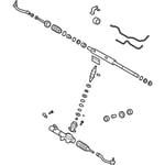 صورة دودة دركسون تحت