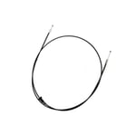 صورة سلك كبوت